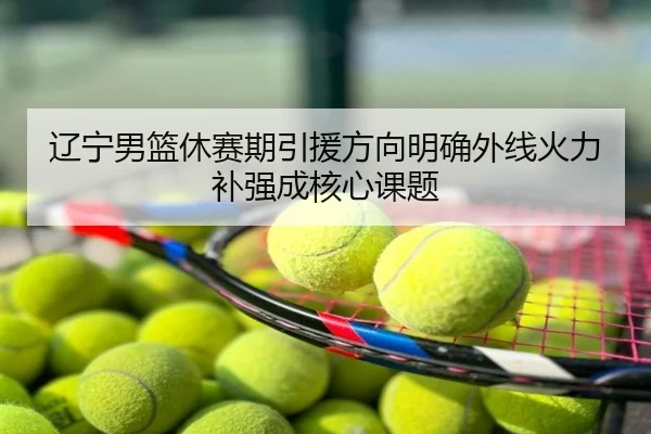 辽宁男篮休赛期引援方向明确外线火力补强成核心课题